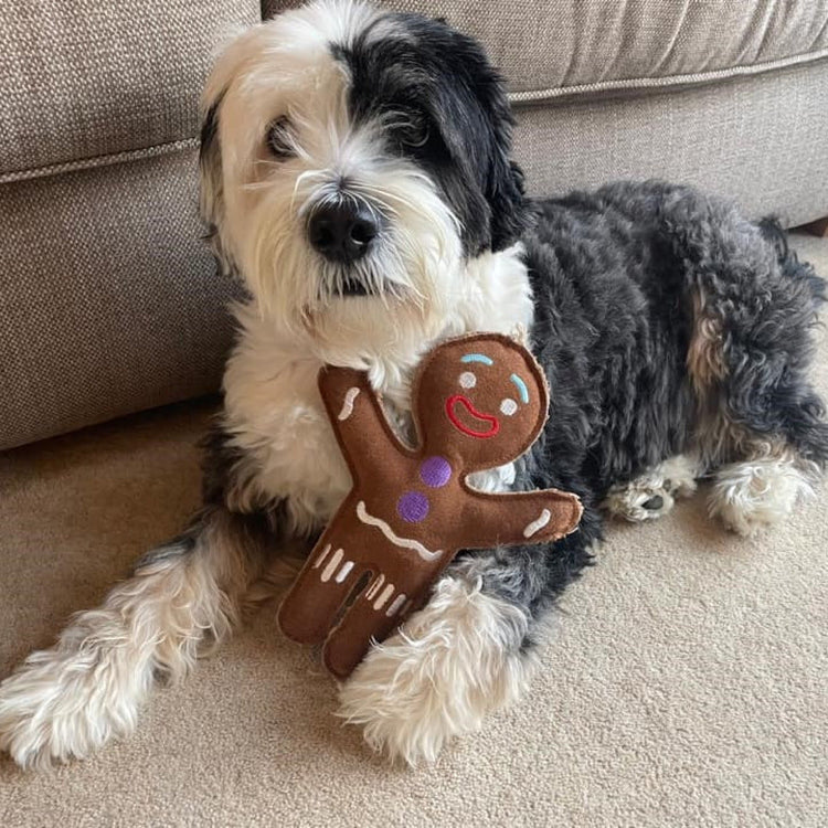 Eco Dog Toys