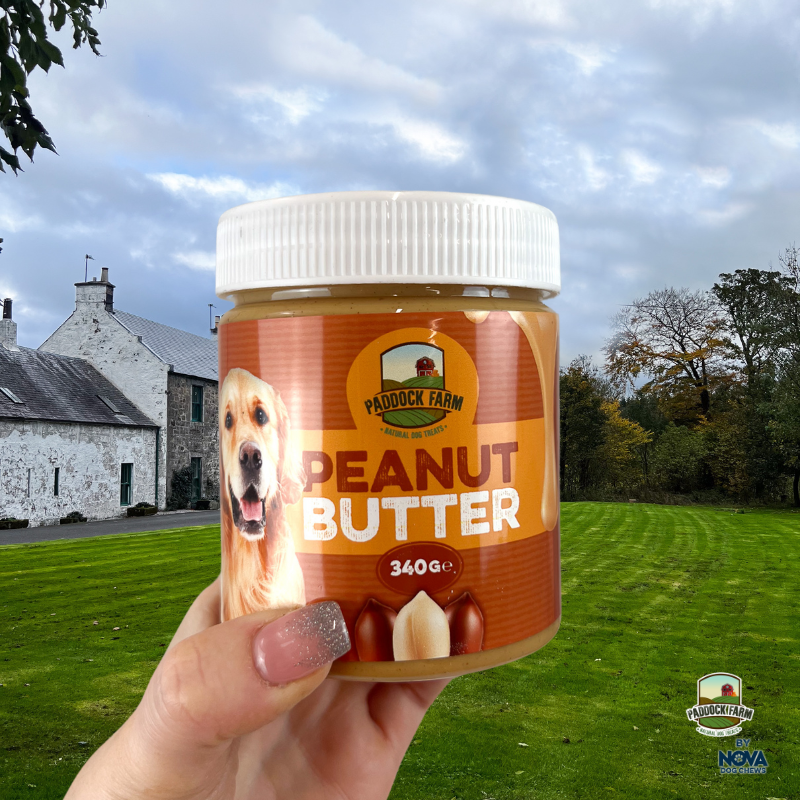 Paddock Farm - Peanut Butter (340g)
