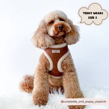 Cocopups - Brown Aviator