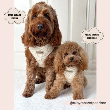 Cocopups - Festival Crochet