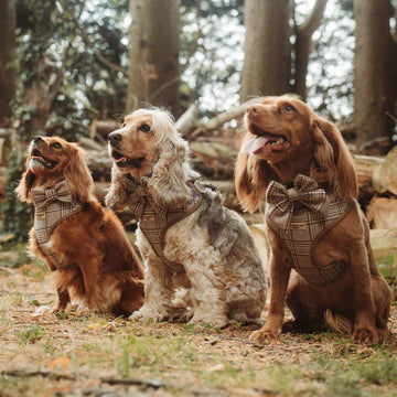 Cocopups - Brown Tartan
