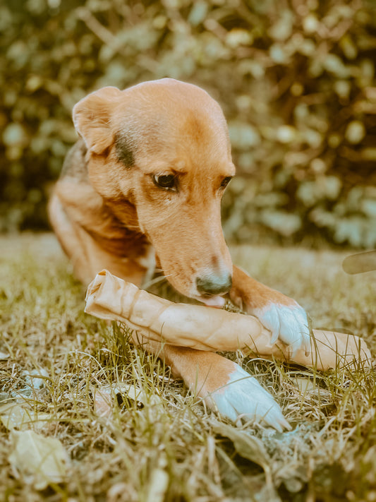 Buffalo roll Lancashire Dog Treats