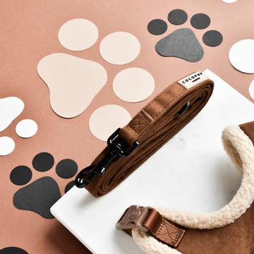 Cocopups - Brown Aviator