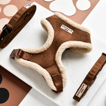 Cocopups - Brown Aviator