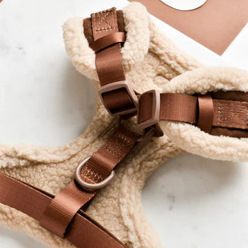 Cocopups - Brown Aviator