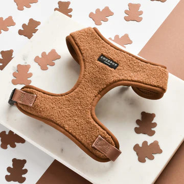 Cocopups - Brown Teddy