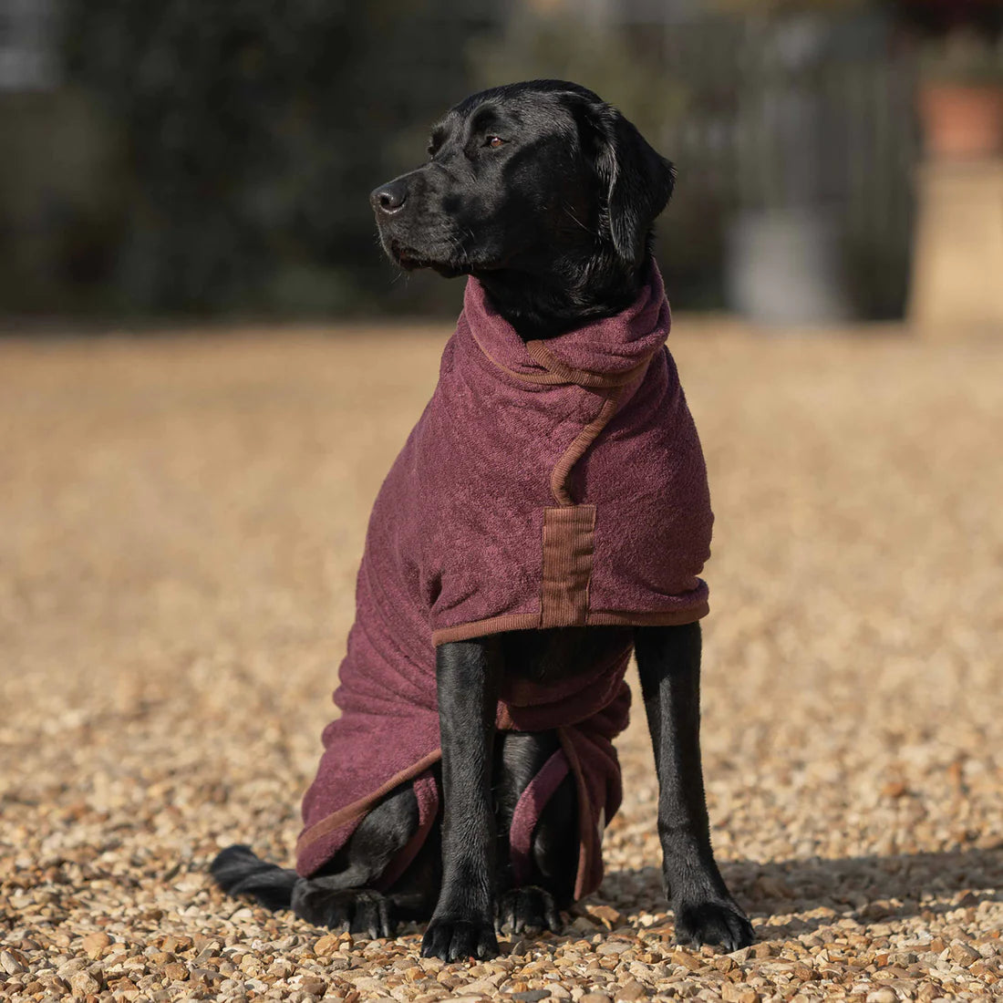 Ruff and Tumble Drying Coat - Country Collection - Lancashire Dog Treats