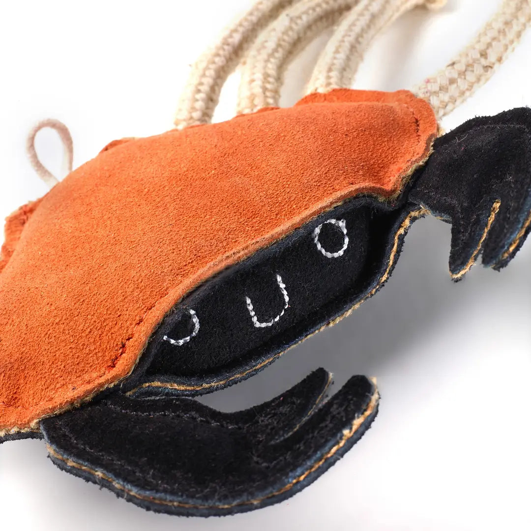 Carlos the Crab, Eco toy Lancashire Dog Treats