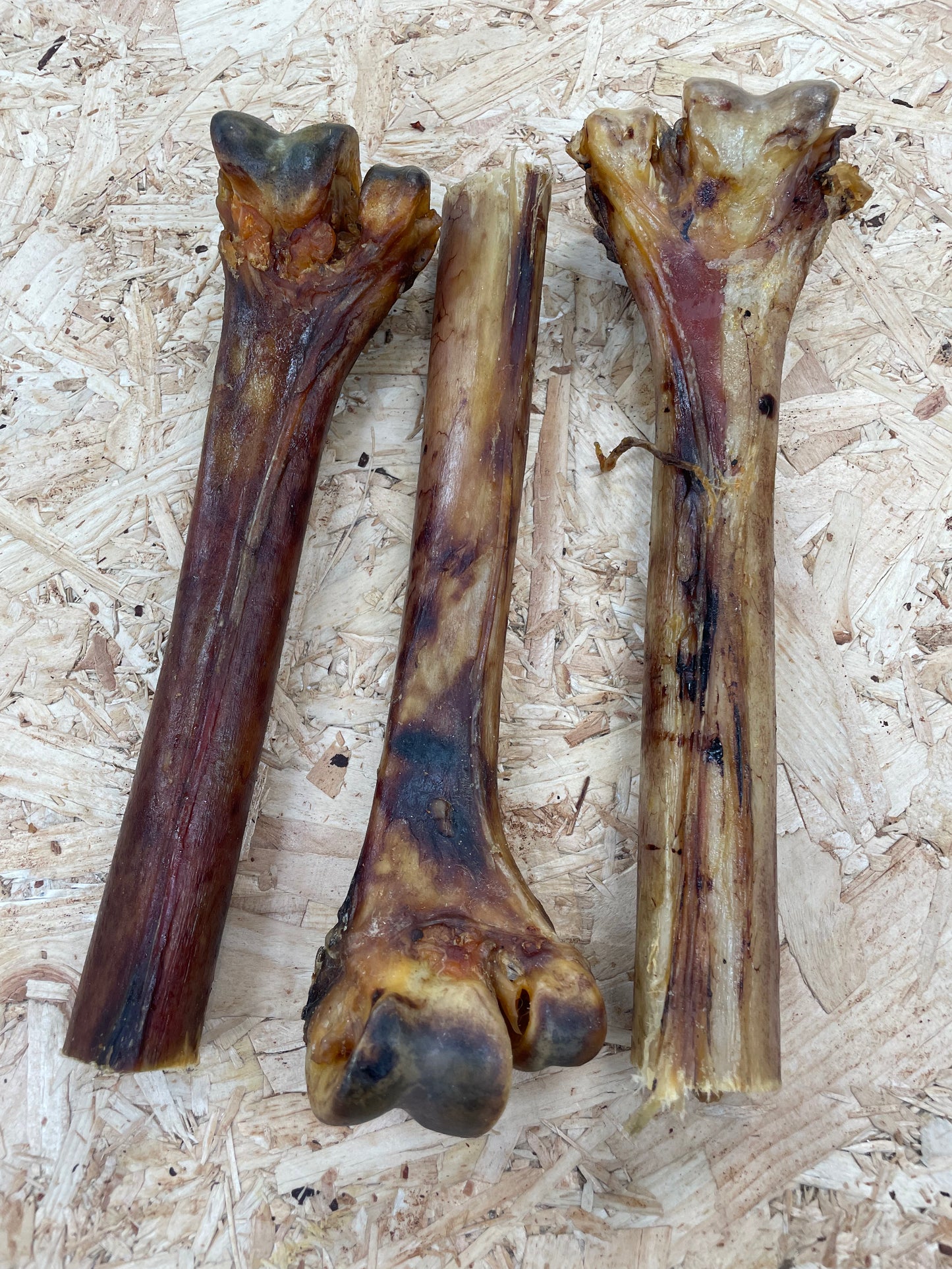 Ostrich Metatarsus Bone