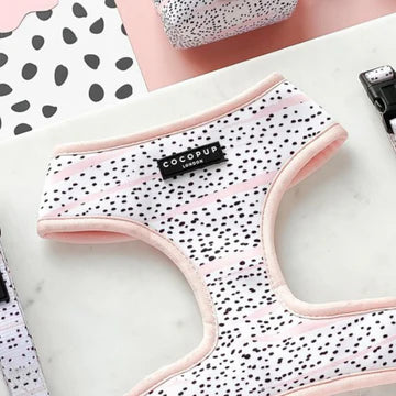 Cocopups - Pink Dalmatian