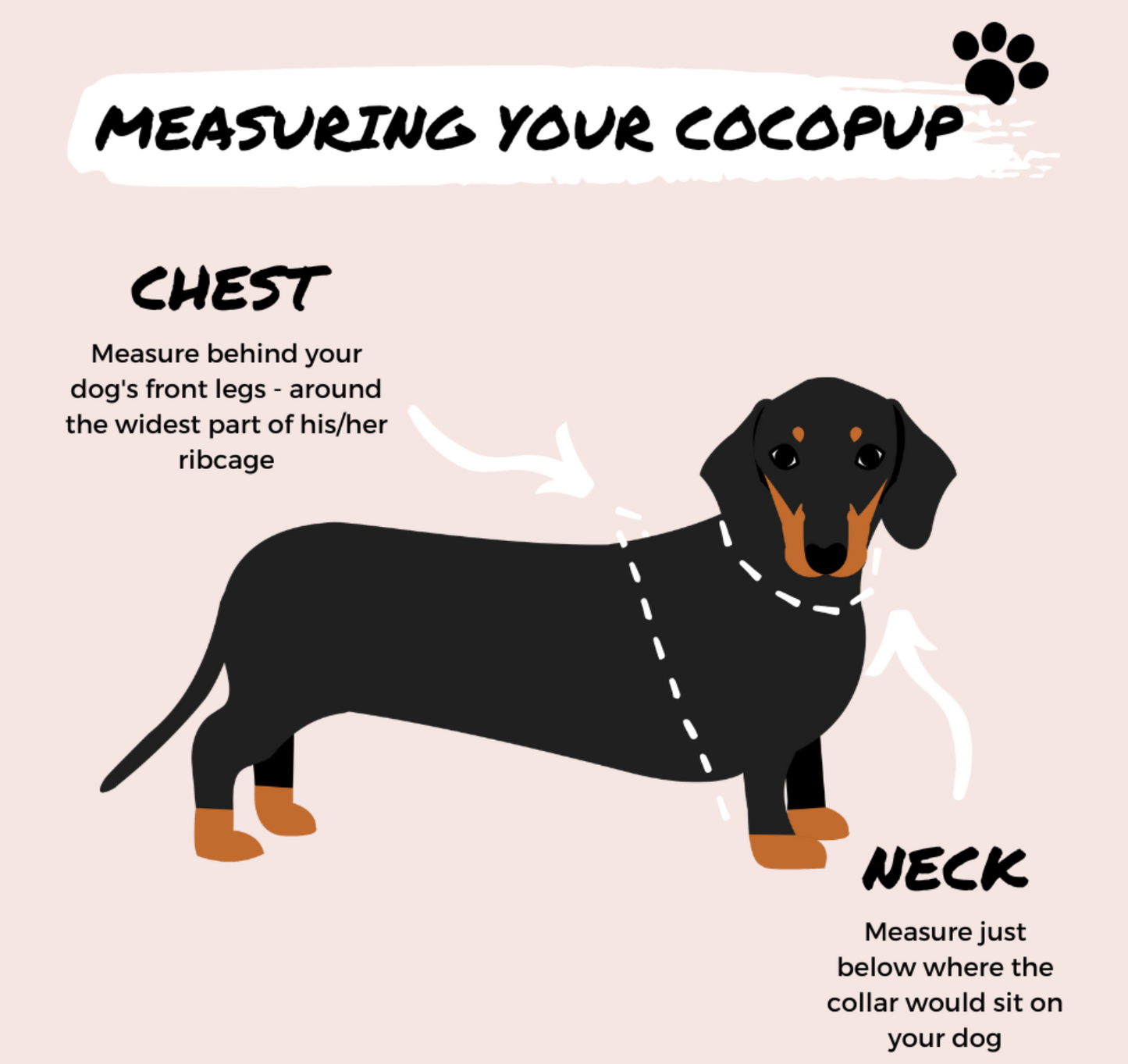 Cocopups - Brown Aviator