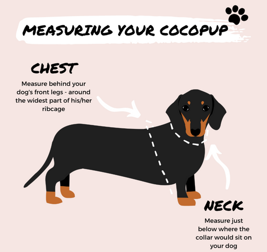 Cocopups - Garden Meadow