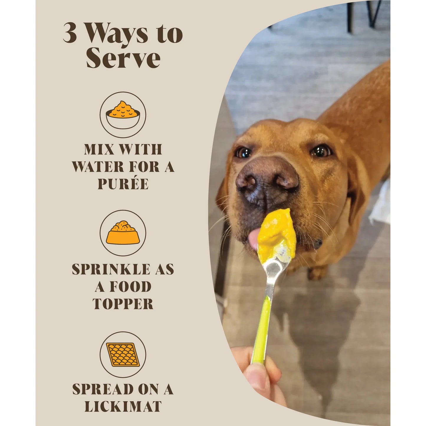 Pumpkin & Probiotics Powder For Dogs
