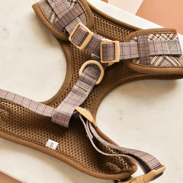 Cocopups - Brown Tartan