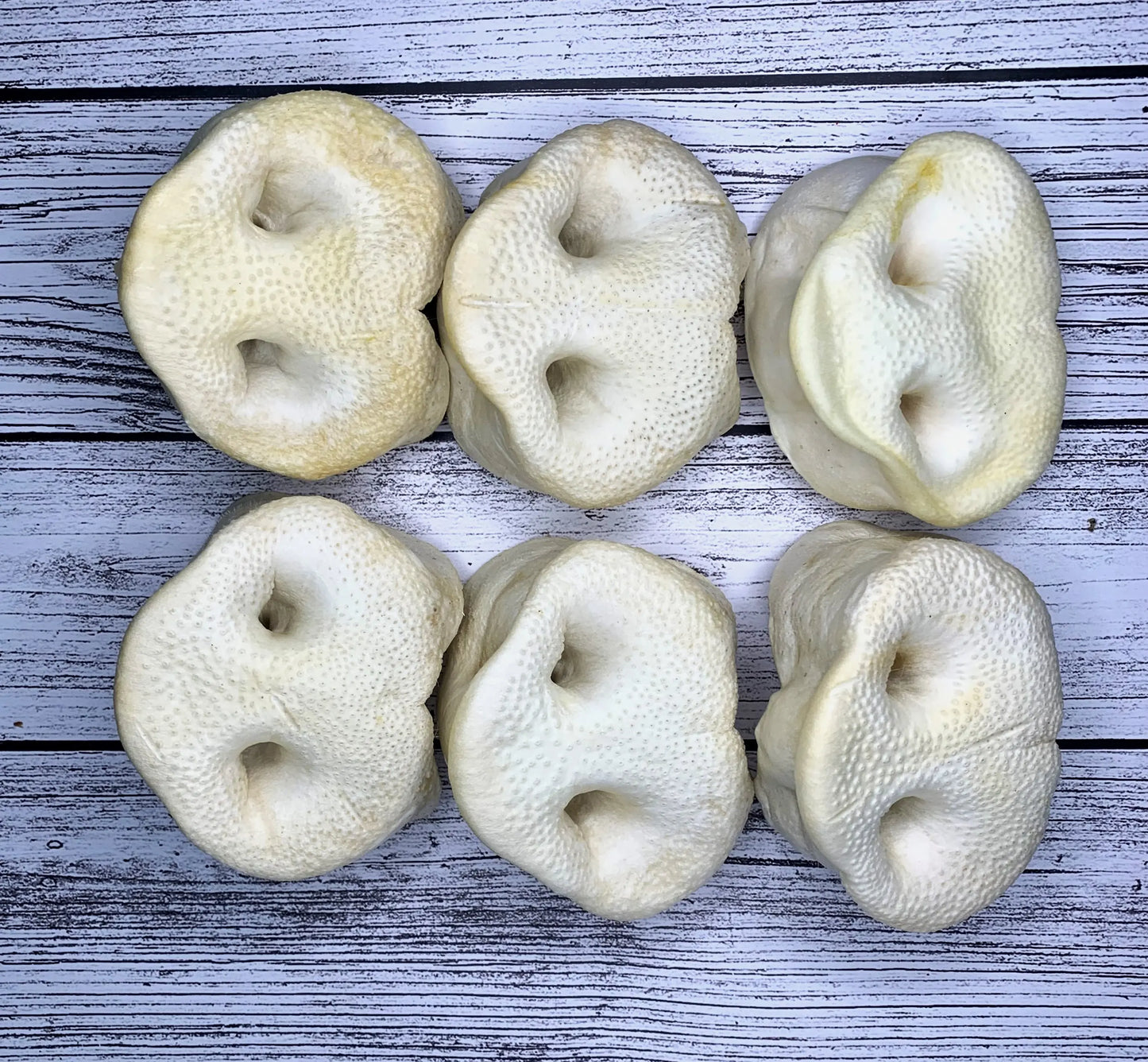 Puffed Pig Snout Lancashire Dog natural dog treats