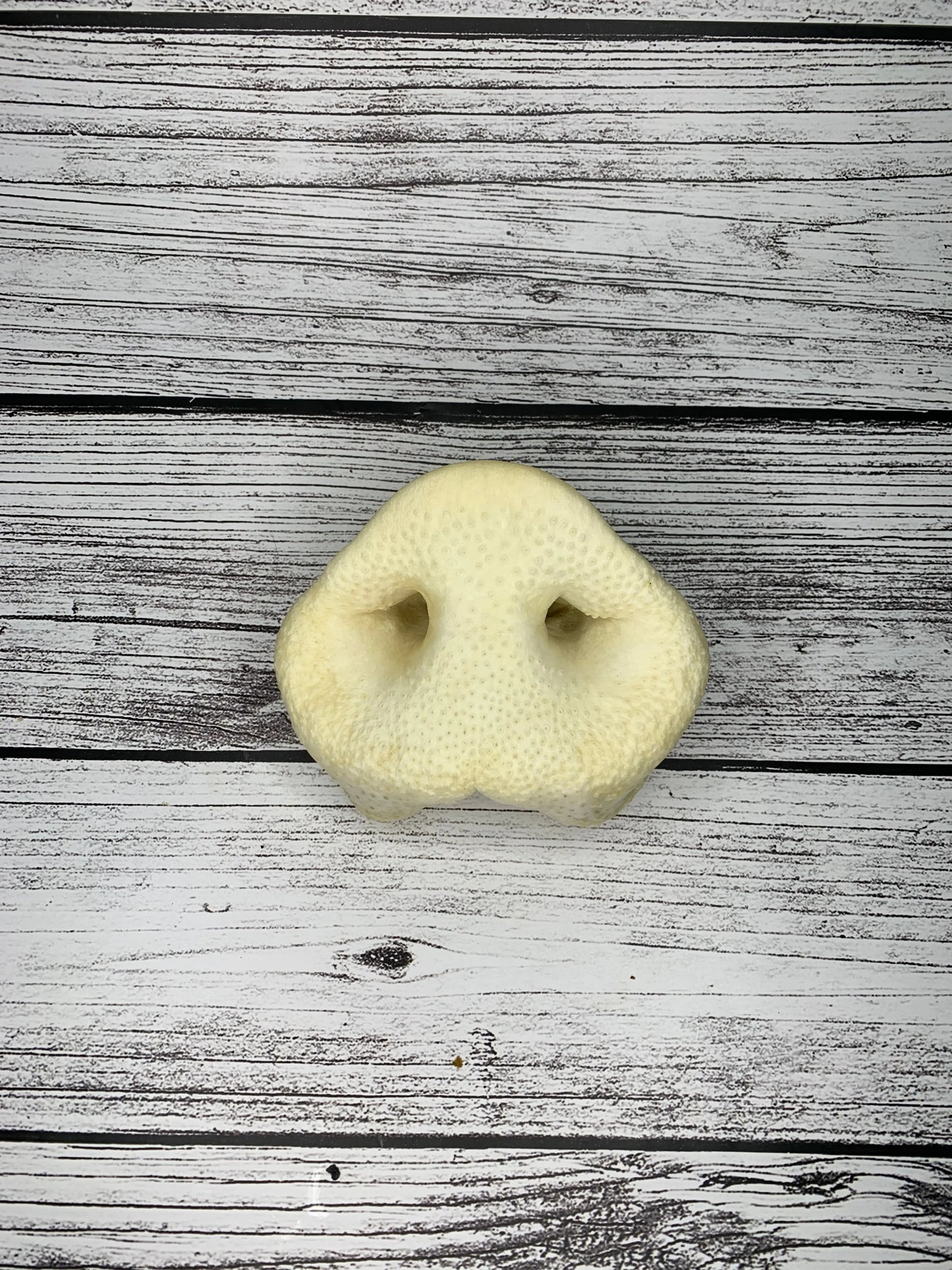 Puffed Pig Snout Lancashire Dog natural dog treats