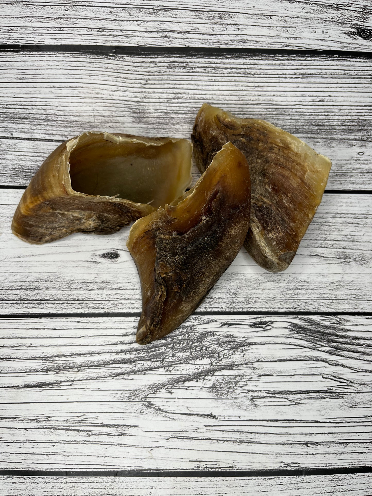 Cow Hooves Lancashire Dog Treats