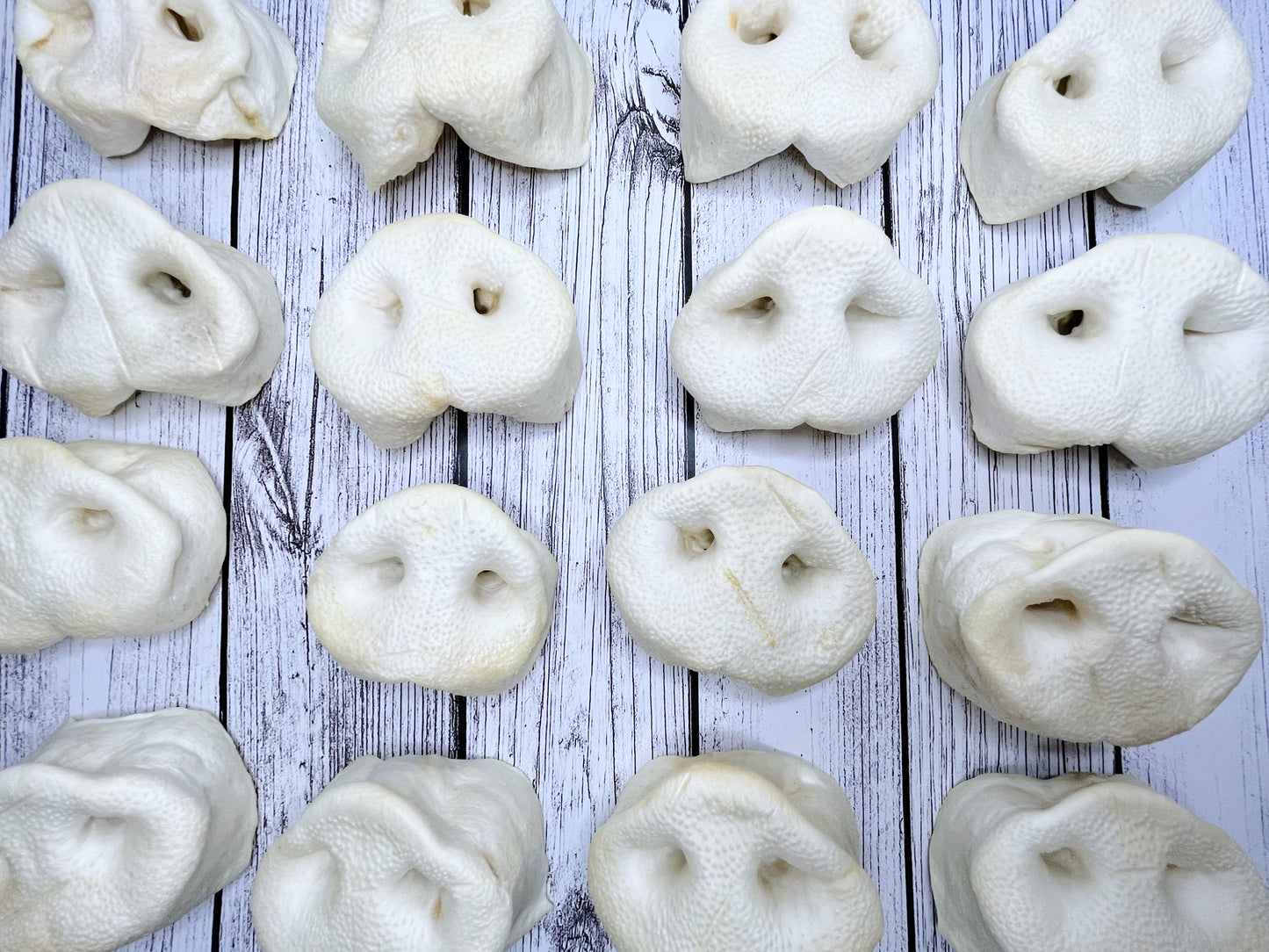Puffed Pig Snout Lancashire Dog Treats