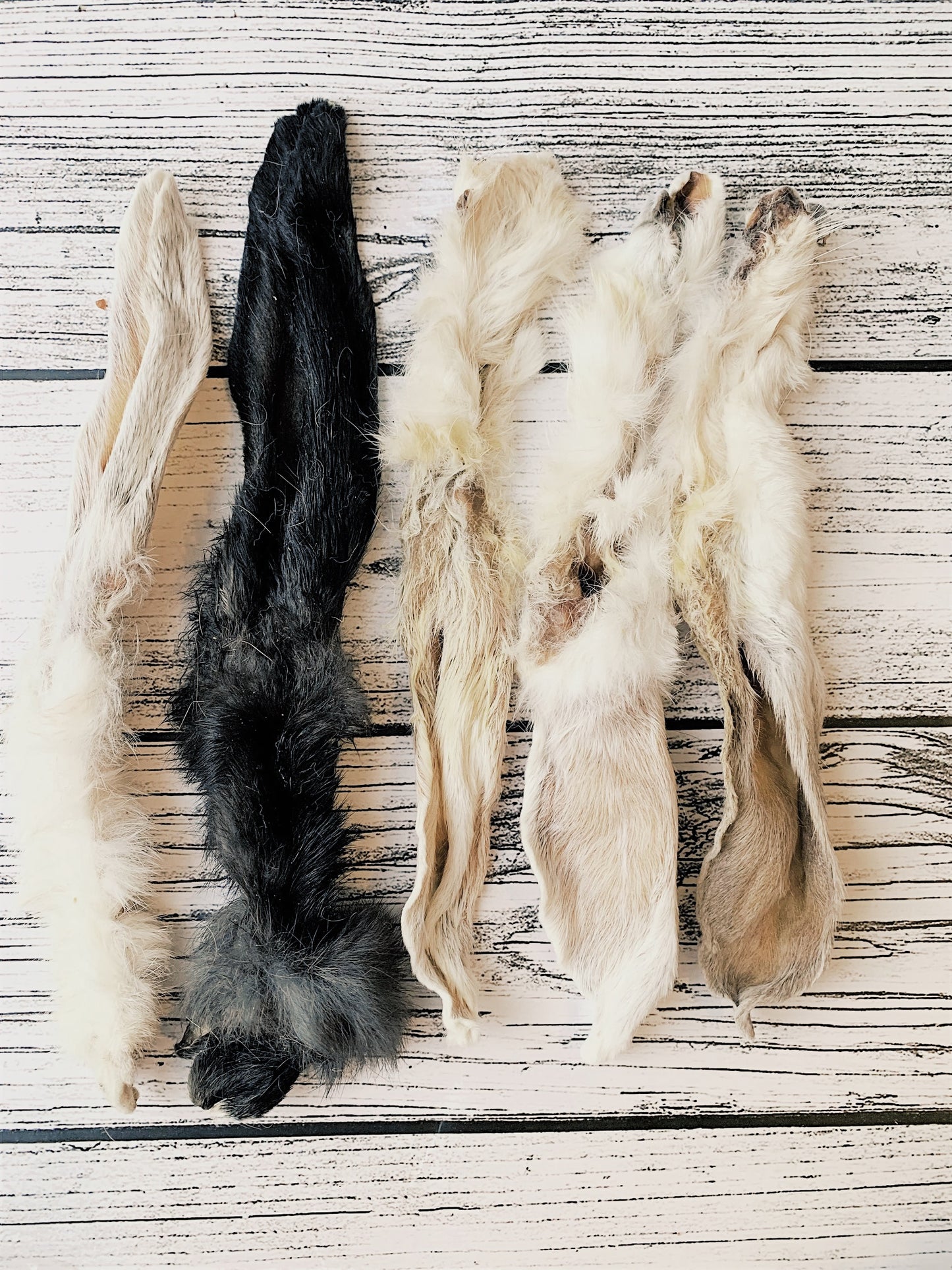 Rabbit Ear with Fur Lancashire Dog Treats