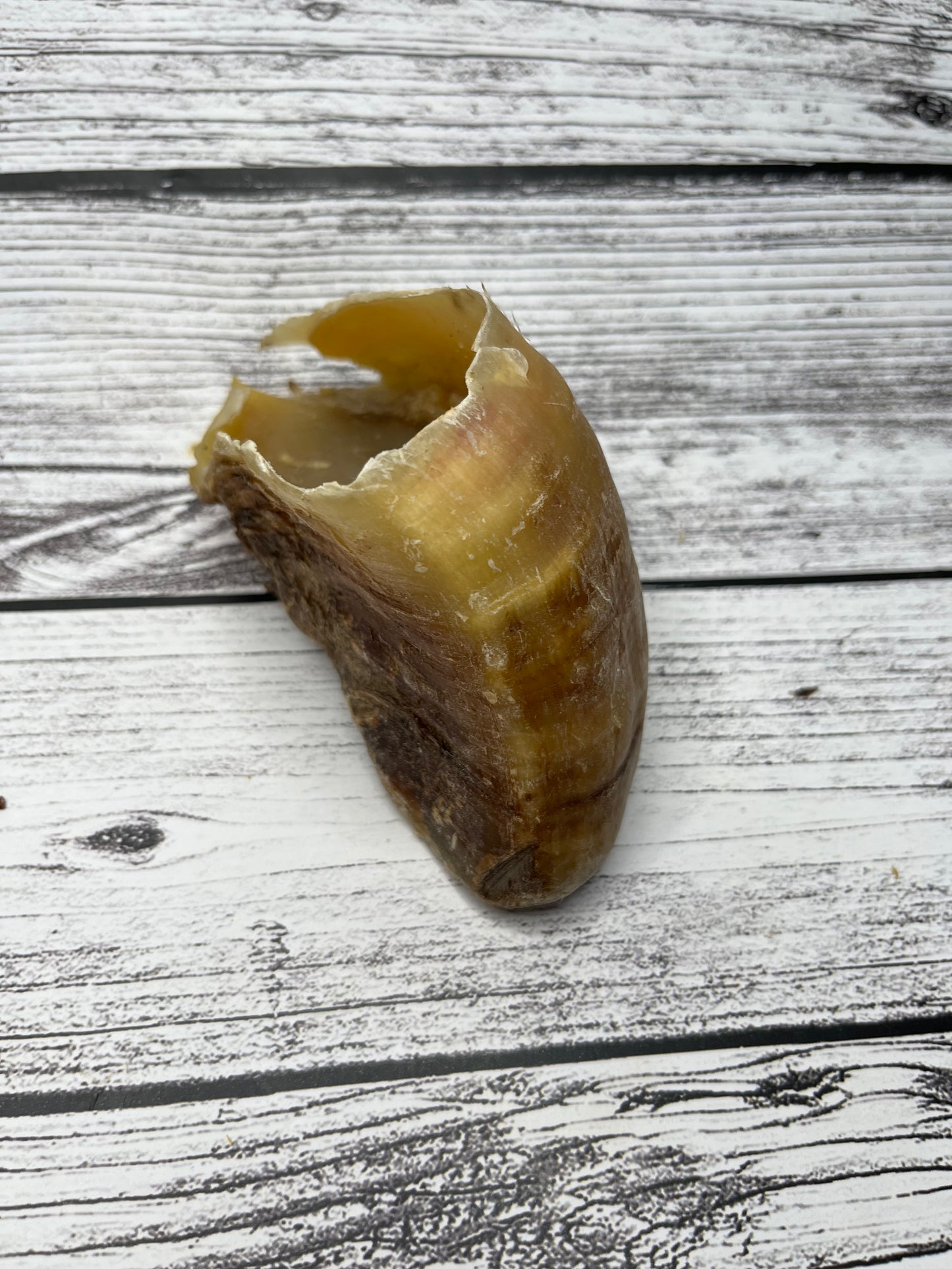 Cow Hooves Lancashire Dog Treats