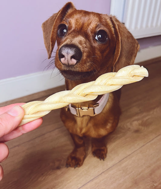 Lamb Braid Lancashire Dog Treats