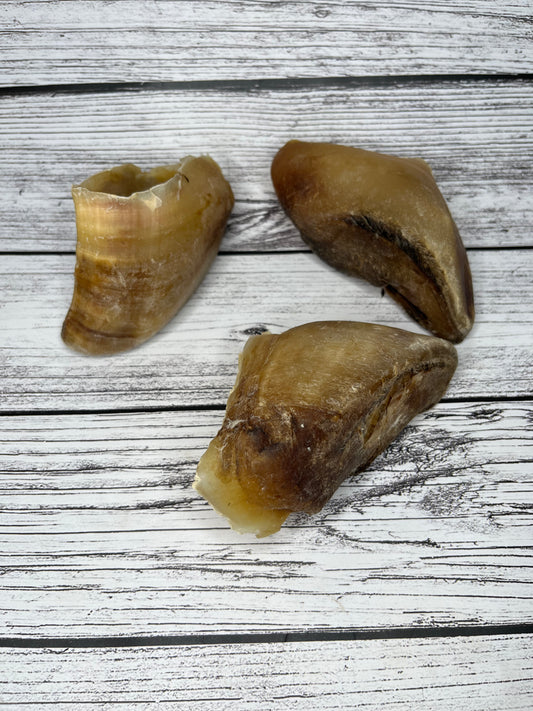 Cow Hooves Lancashire Dog Treats