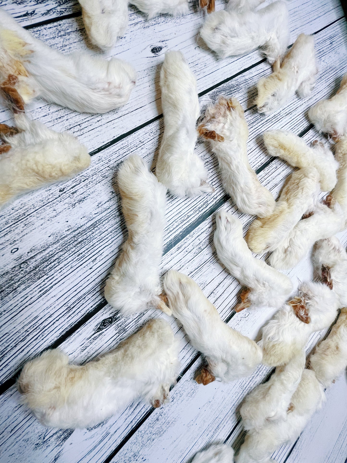 Rabbit Feet with Fur Lancashire Dog Treats