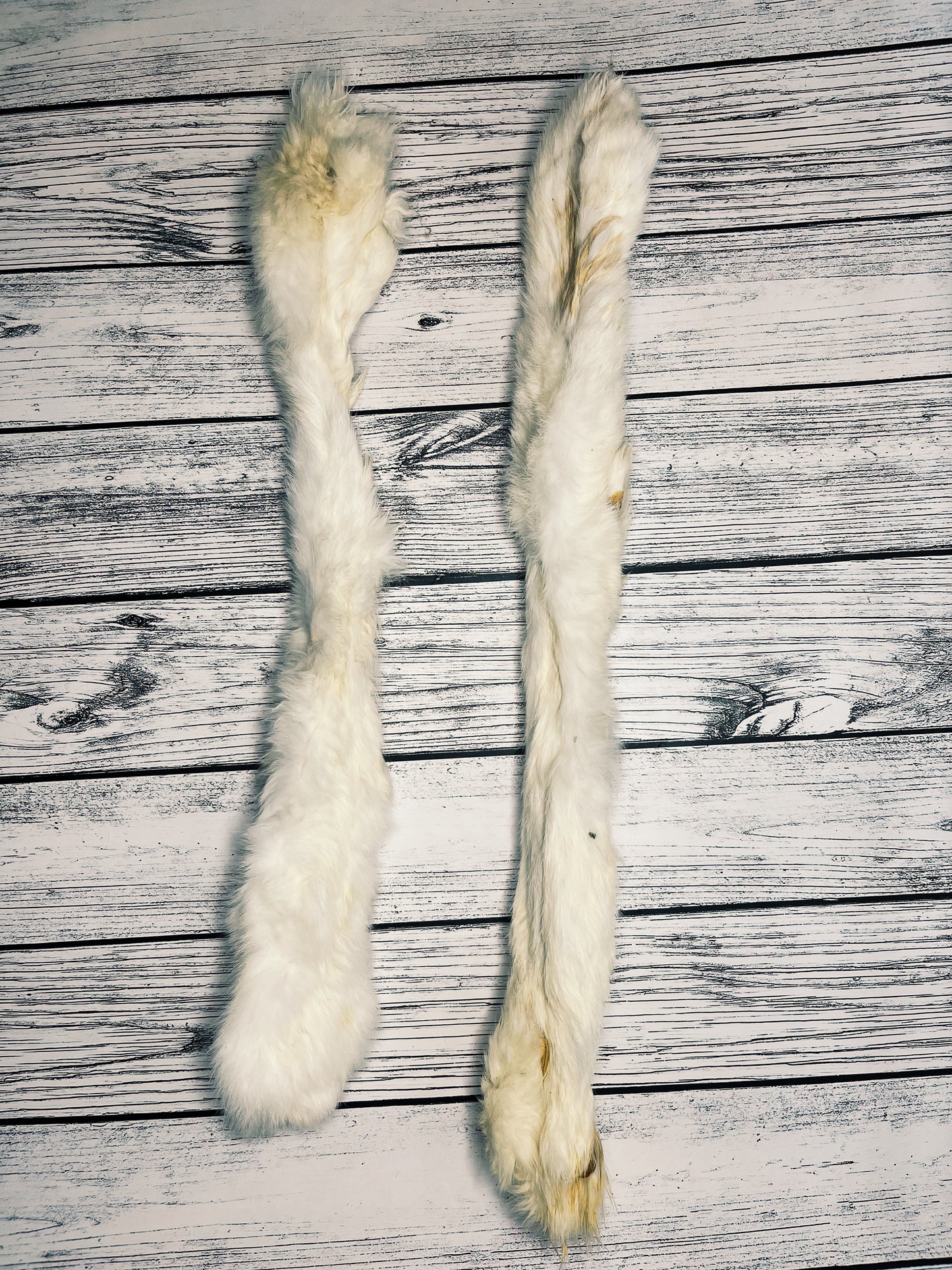 Rabbit skin with fur Lancashire Dog Treats