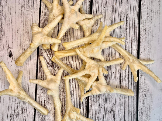 Puffed Chicken Foot Lancashire Dog Treats