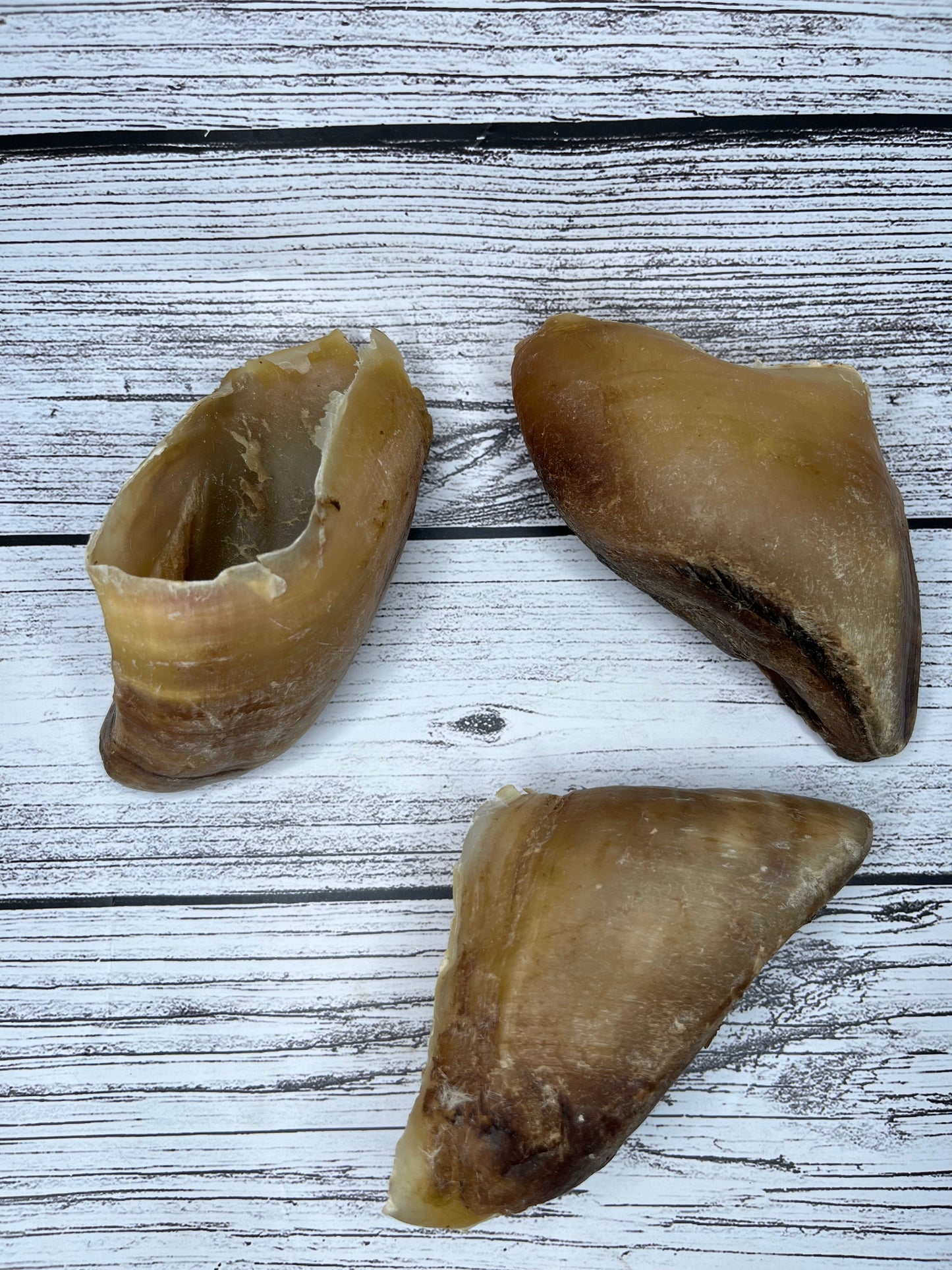 Cow Hooves Lancashire Dog Treats