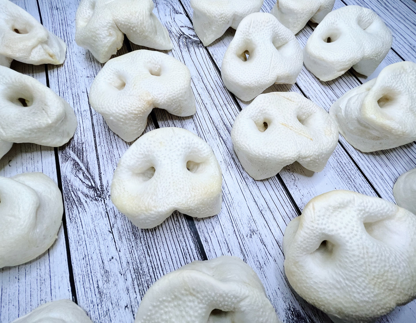 Puffed Pig Snout Lancashire Dog Treats