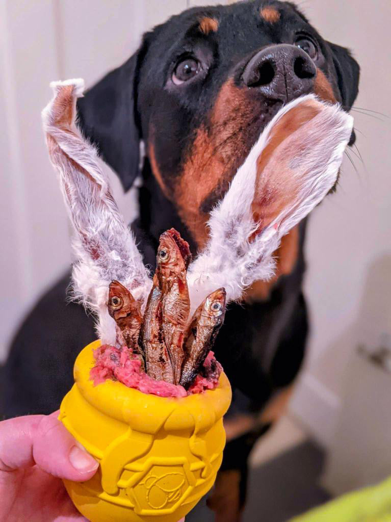 Rabbit Ear with Fur Lancashire Dog Treats
