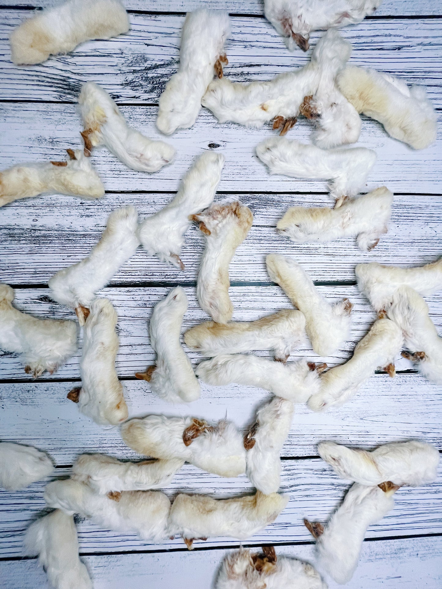 Rabbit Feet with Fur Lancashire Dog Treats