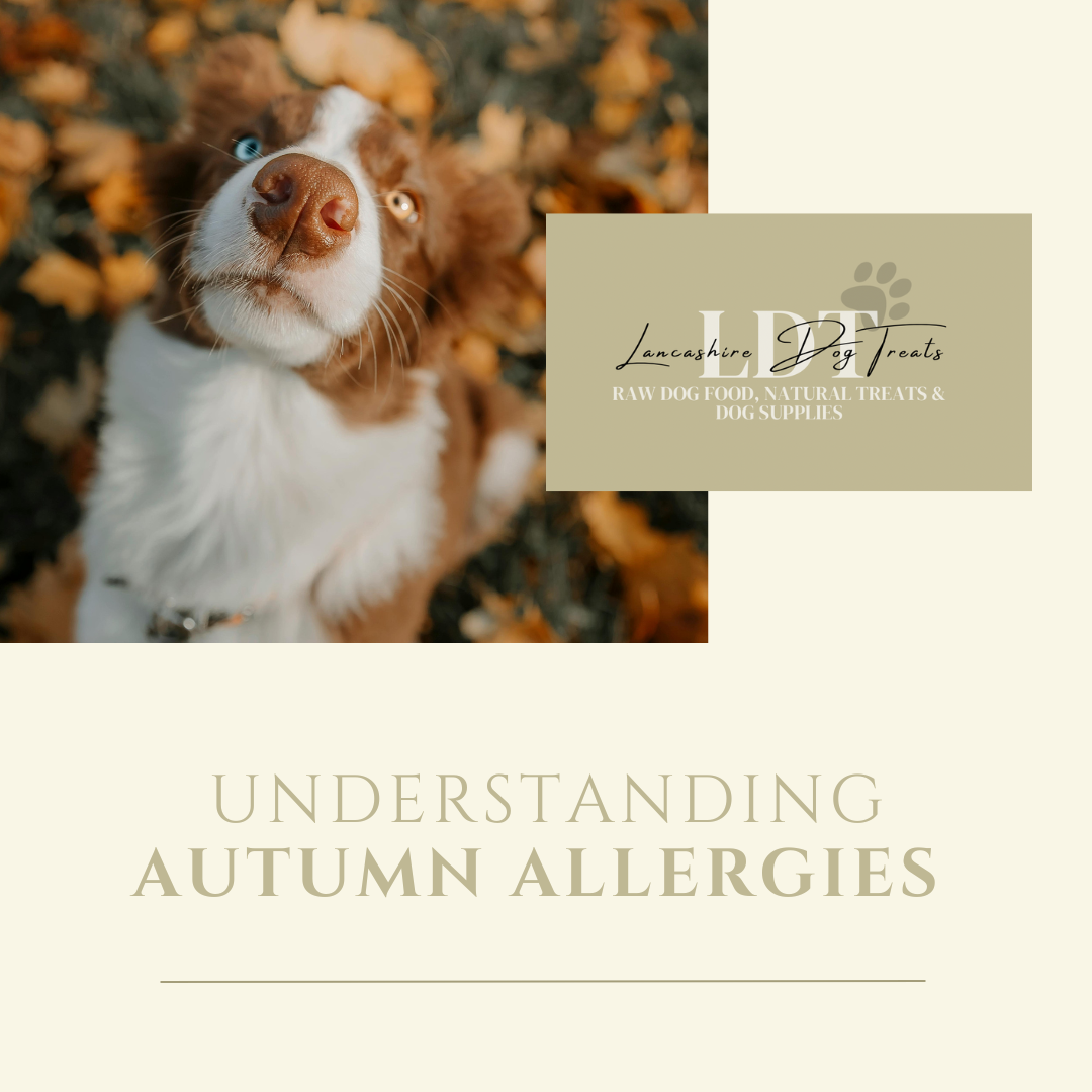 Autumn Allergies