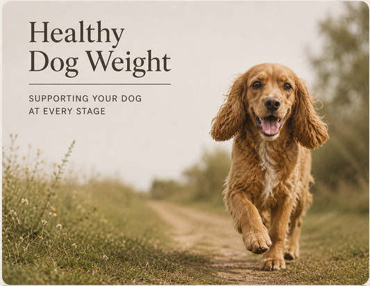 a healthy perfect weight dog 