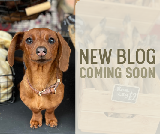 New Blog - Coming Soon