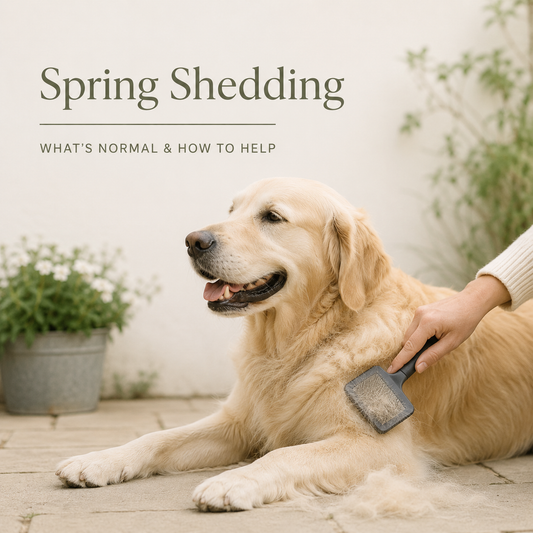 Spring Shedding