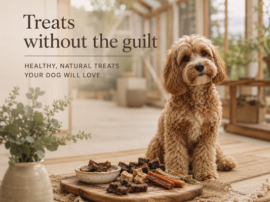 How to feed treats without the guilt