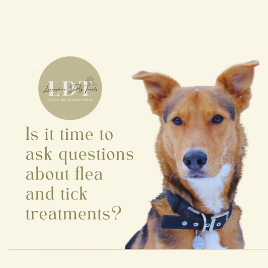 How do you treat fleas or ticks?