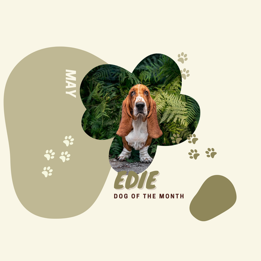 Dog of the Month May