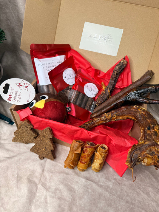 Christmas Chew & Play Box