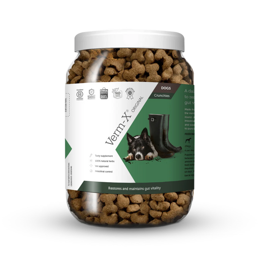 Verm - X Original Crunchies - A daily supplement to restore and maintain gut vitality 650g Lancashire Dog Treats