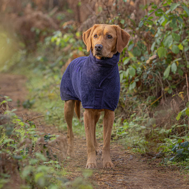 Ruff and Tumble Drying Coat - Blackberry Lancashire Dog Treats