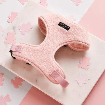 Cocopups - Pink Teddy