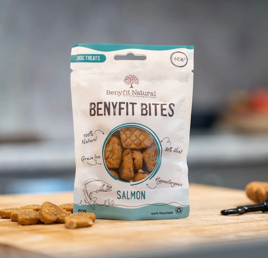 Benyfit Bites - Salmon Lancashire Dog Treats