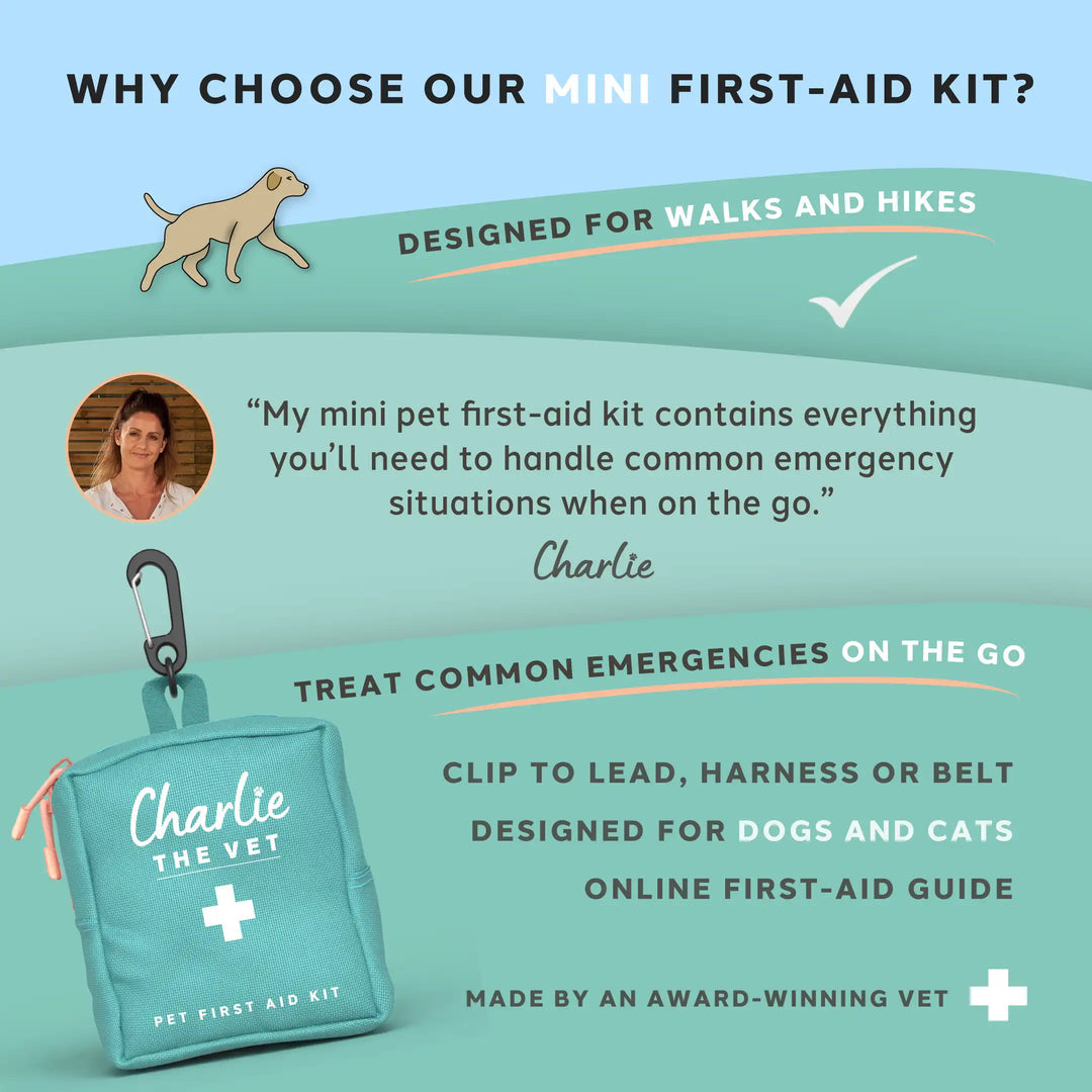 First Aid Kit - Travel Size - Charlie the Vet