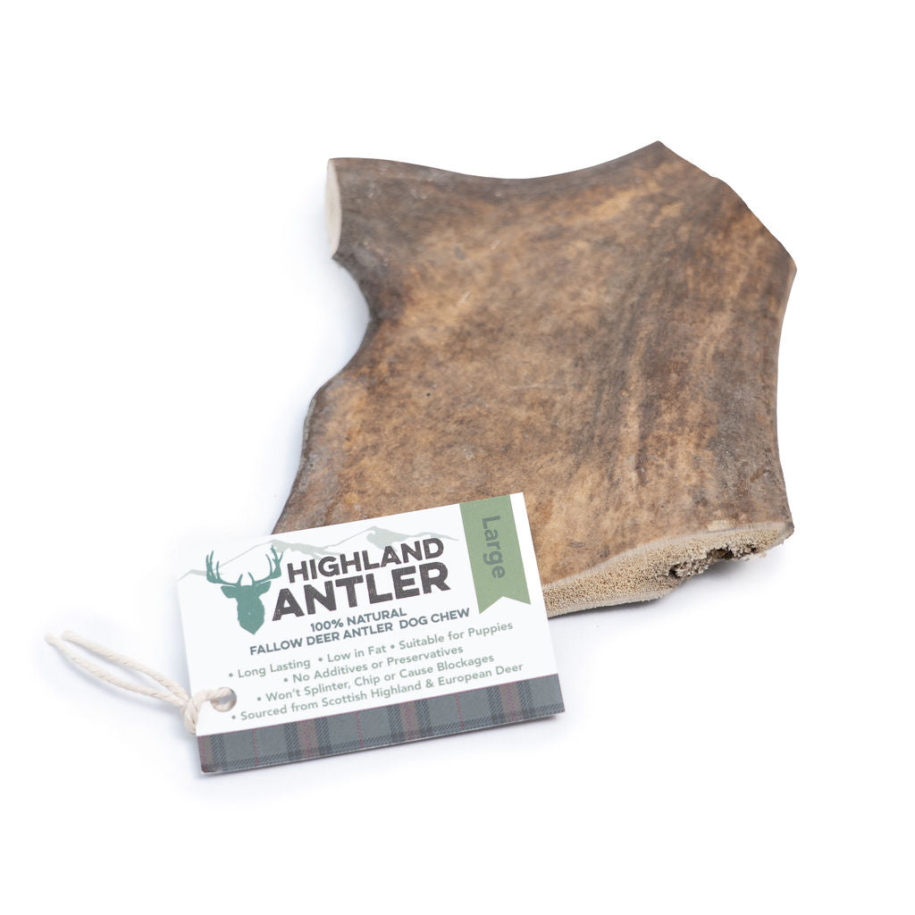 Large Fallow Antler Lancashire Dog Treats