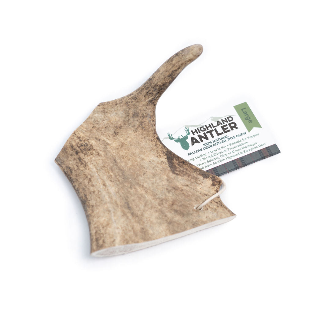 Large Fallow Antler Lancashire Dog Treats