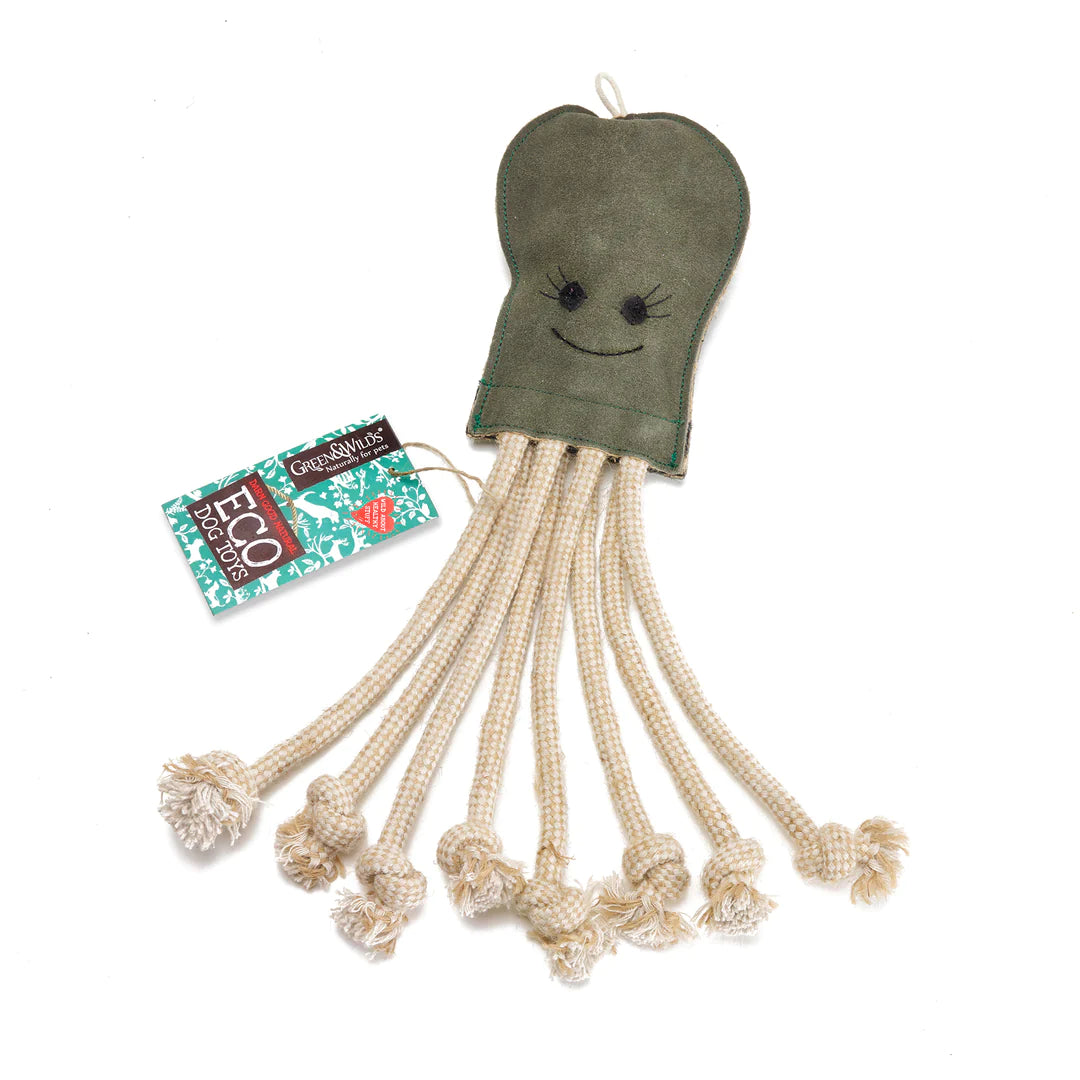 Olive the Octopus, Eco Toy Lancashire Dog Treats