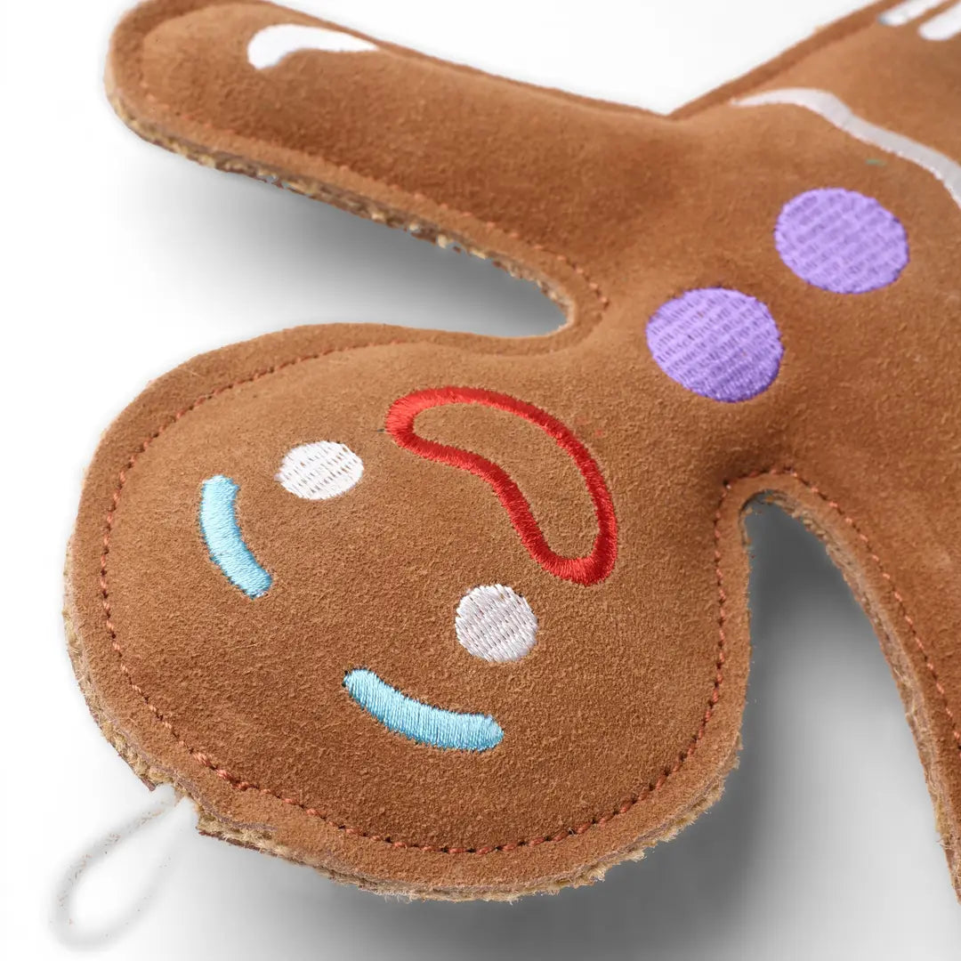 Jean Genie the Gingerbread Person, Eco Toy Lancashire Dog Treats